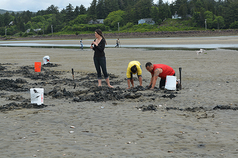 Clamming is a Family Sport